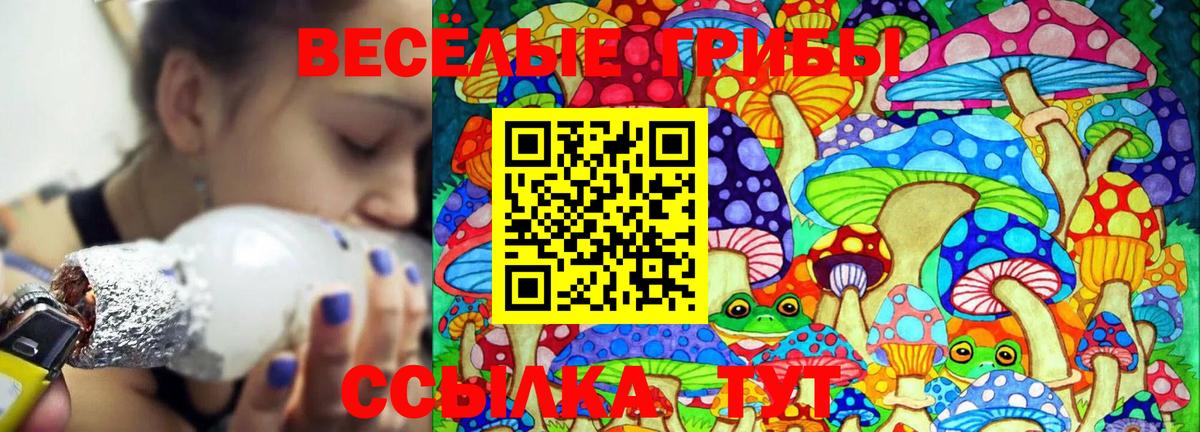 Красногорск  Псилоцибиновые грибы GOLDEN TEACHER  Вход с VPN 